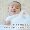 柔らかさの向こうに、とびきりのやさしさがありました